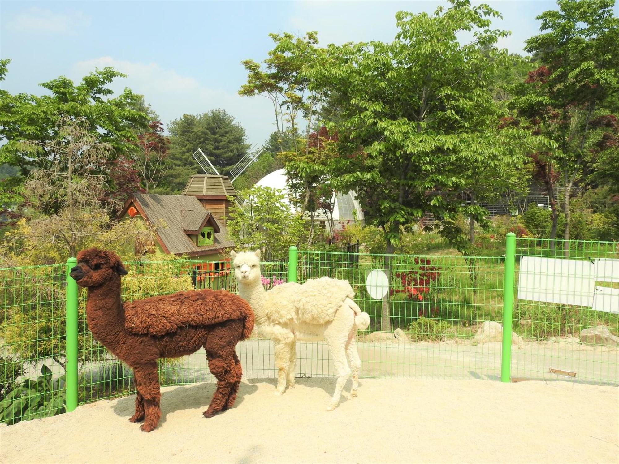 Kensington Resort Gapyeong Exterior photo
